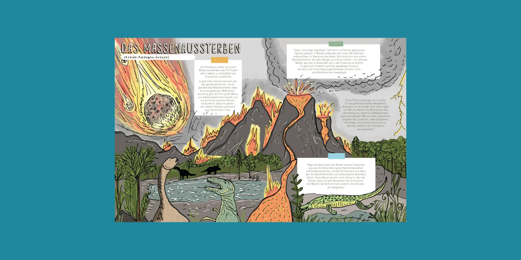 Bild: 9783865025319 | Steine und Gebeine | Rob Wilshaw | Buch | 80 S. | Deutsch | 2025