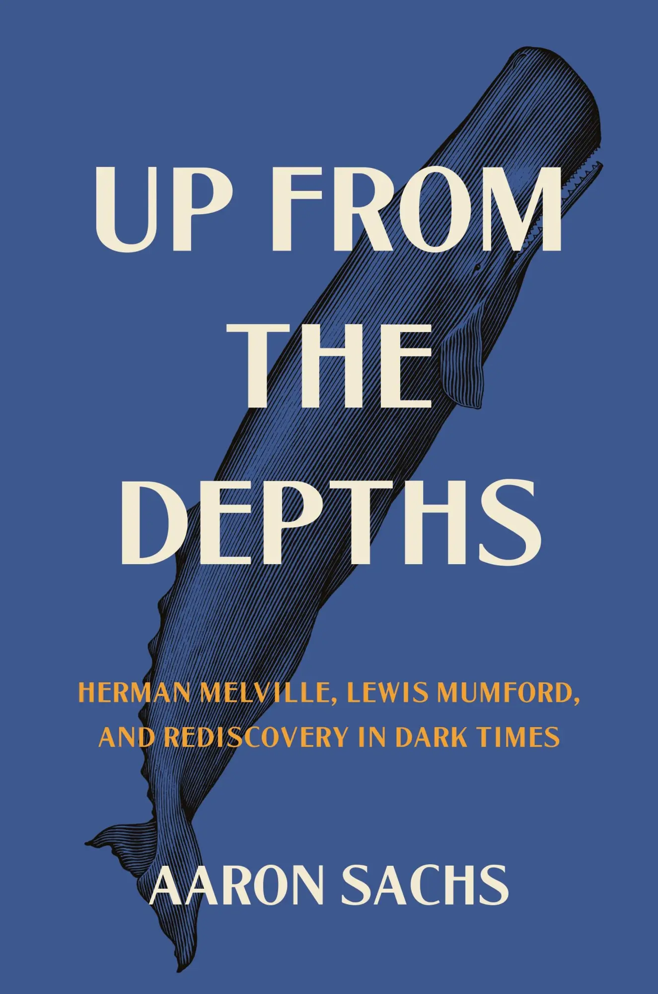 Cover: 9780691215419 | Up from the Depths | Aaron Sachs | Buch | Einband - fest (Hardcover)