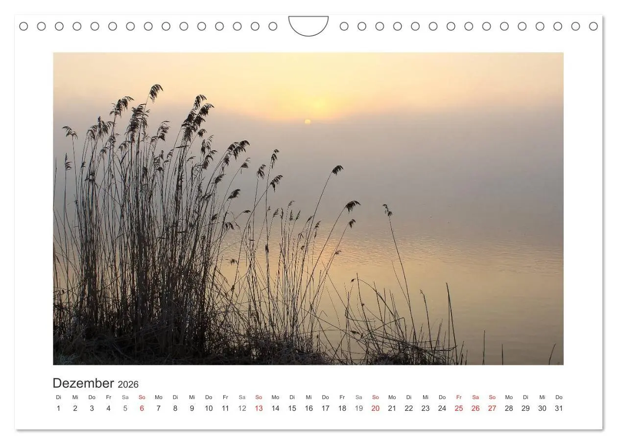 Bild: 9783516225419 | Lichtzauber 2026 (Wandkalender 2026 DIN A4 quer), CALVENDO...