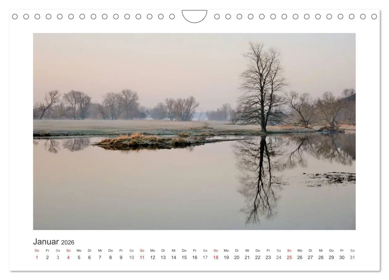 Bild: 9783516225419 | Lichtzauber 2026 (Wandkalender 2026 DIN A4 quer), CALVENDO...