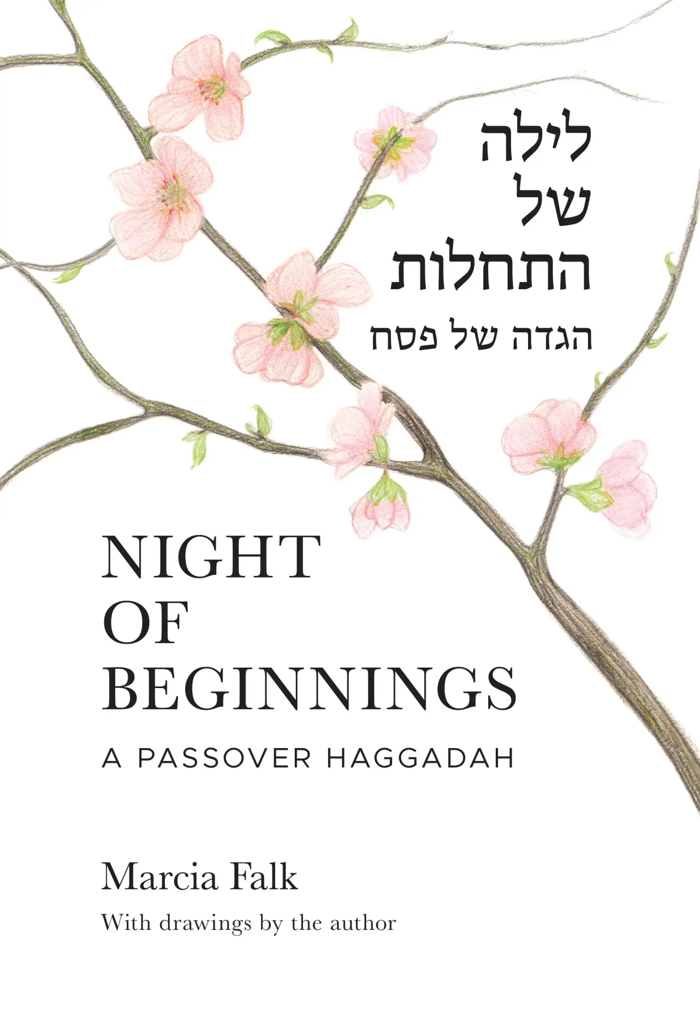 Cover: 9780827615519 | Night of Beginnings | A Passover Haggadah | Marcia Falk | Taschenbuch