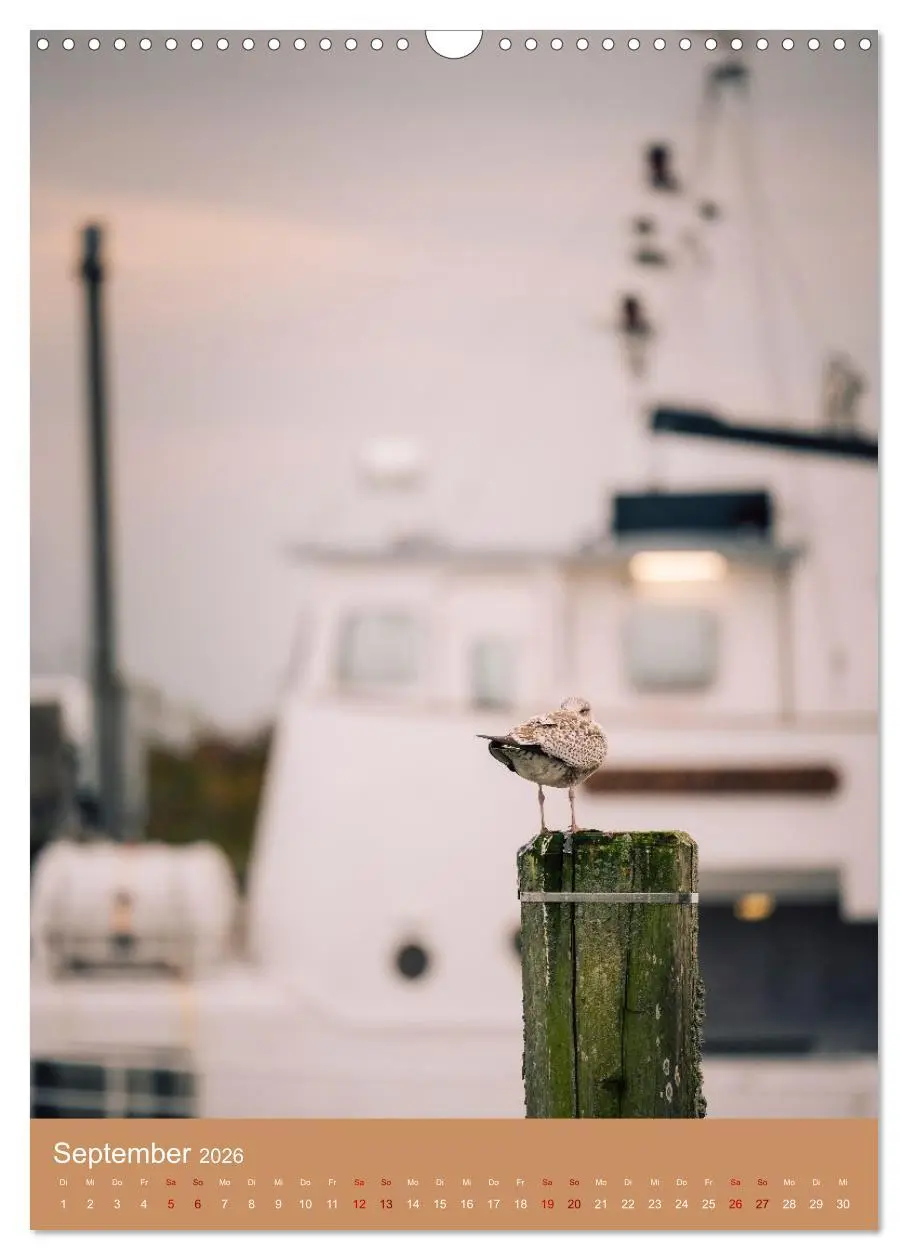 Bild: 9783457295519 | Schönes Hooksiel (Wandkalender 2026 DIN A3 hoch), CALVENDO...