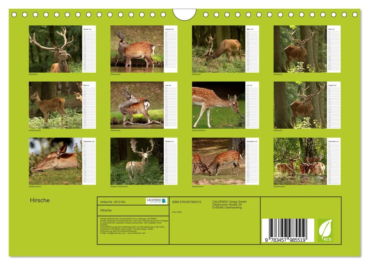 Bild: 9783457985519 | Hirsche (Wandkalender 2026 DIN A4 quer), CALVENDO Monatskalender