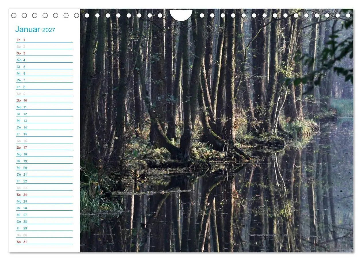 Bild: 9783569925519 | Wunderschöner Spreewald (Wandkalender 2027 DIN A4 quer), CALVENDO...