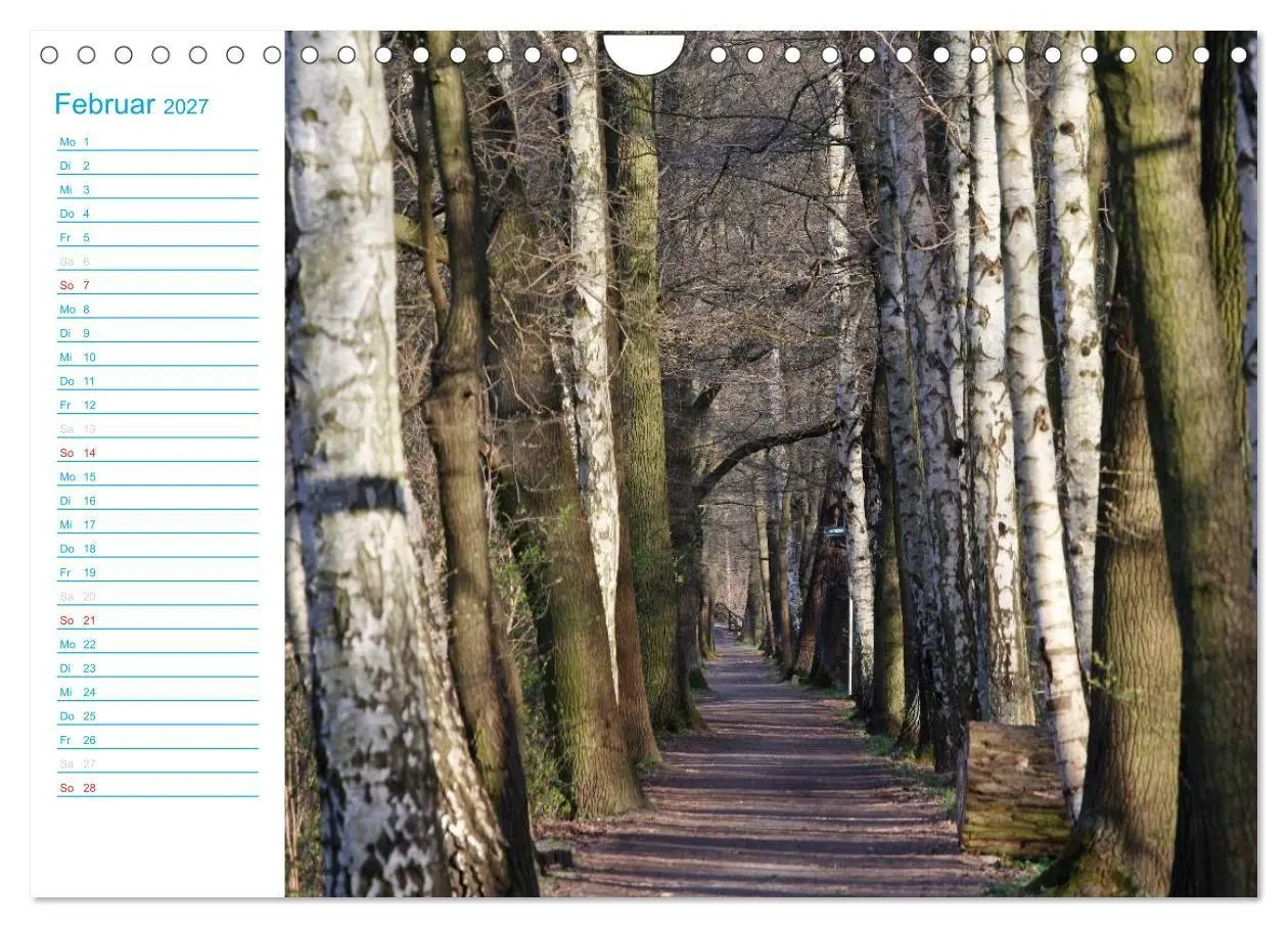 Bild: 9783569925519 | Wunderschöner Spreewald (Wandkalender 2027 DIN A4 quer), CALVENDO...