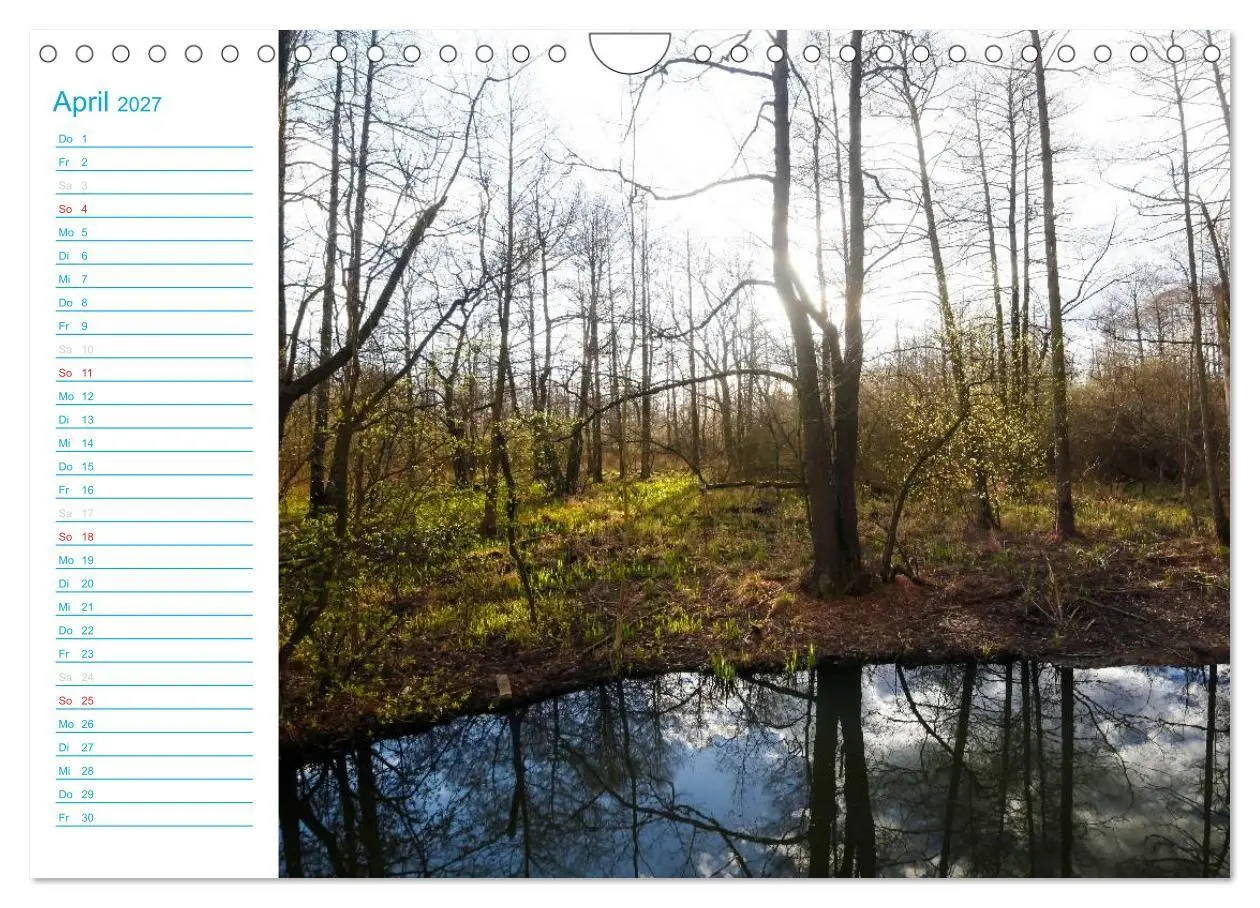 Bild: 9783569925519 | Wunderschöner Spreewald (Wandkalender 2027 DIN A4 quer), CALVENDO...