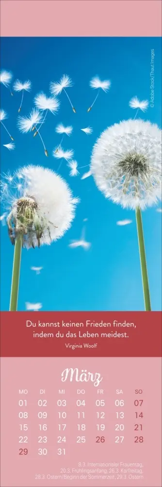 Bild: 9783756415519 | Tage voller Glück Lesezeichen &amp; Kalender 2027 | Kalender | Geblockt