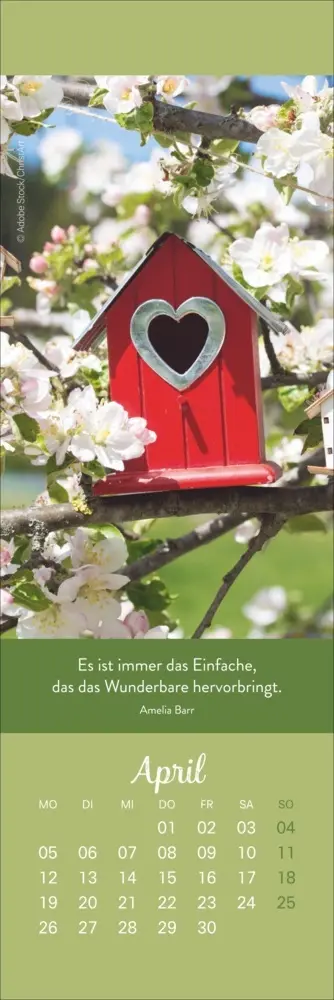 Bild: 9783756415519 | Tage voller Glück Lesezeichen &amp; Kalender 2027 | Kalender | Geblockt