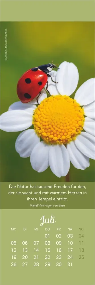 Bild: 9783756415519 | Tage voller Glück Lesezeichen &amp; Kalender 2027 | Kalender | Geblockt