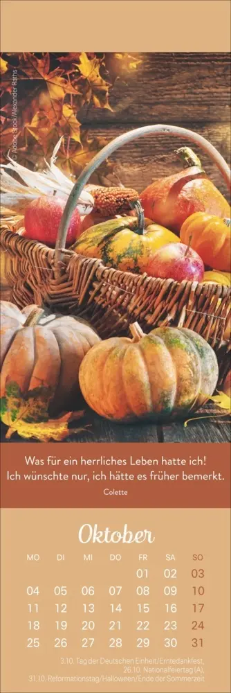 Bild: 9783756415519 | Tage voller Glück Lesezeichen &amp; Kalender 2027 | Kalender | Geblockt
