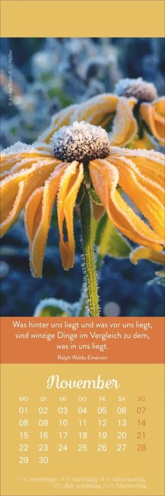 Bild: 9783756415519 | Tage voller Glück Lesezeichen &amp; Kalender 2027 | Kalender | Geblockt