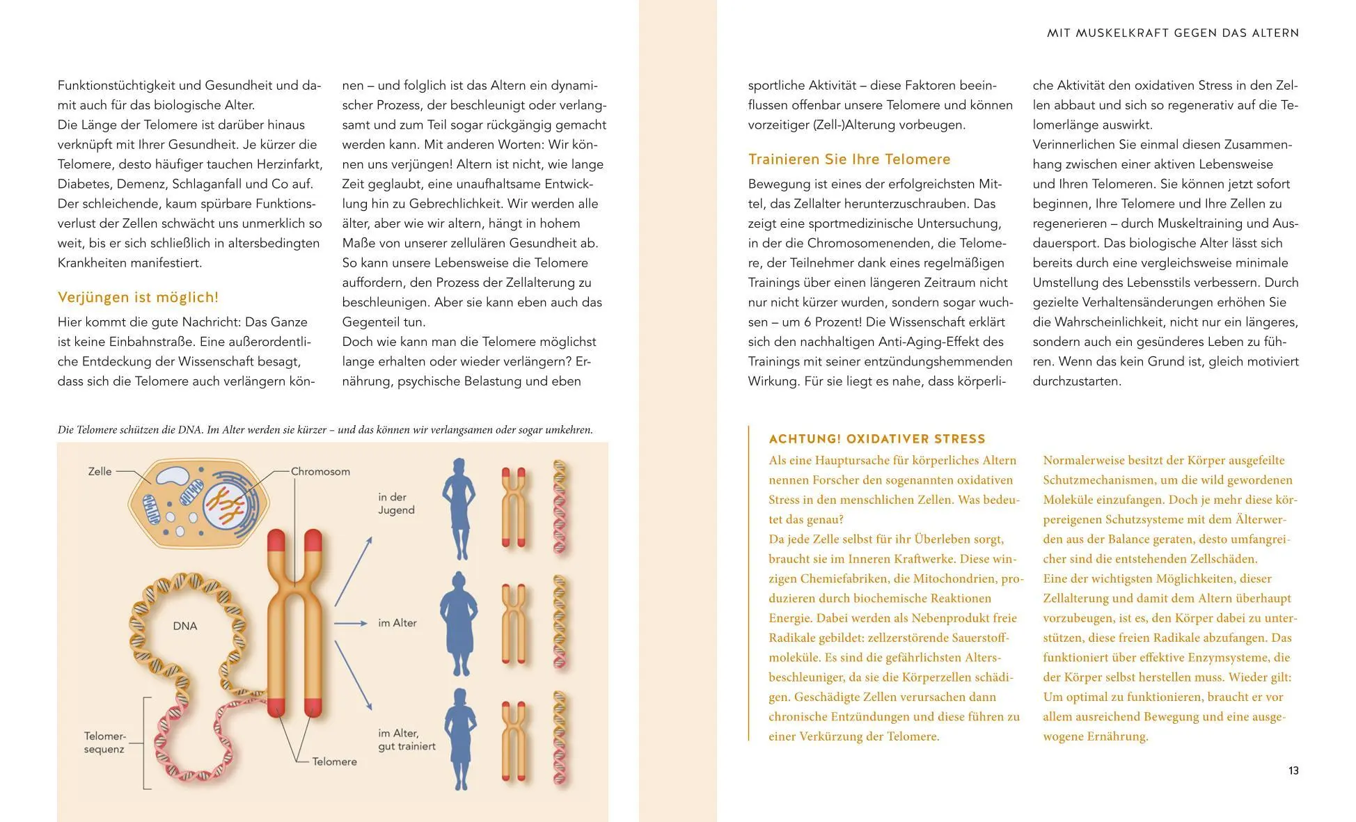 Bild: 9783833875519 | Mit 50 fitter als mit 30 | Thorsten Tschirner | Taschenbuch | Fitness