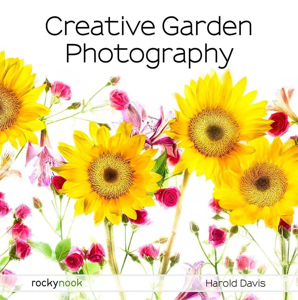 Cover: 9781681985619 | Creative Garden Photography | Harold Davis | Taschenbuch | Englisch