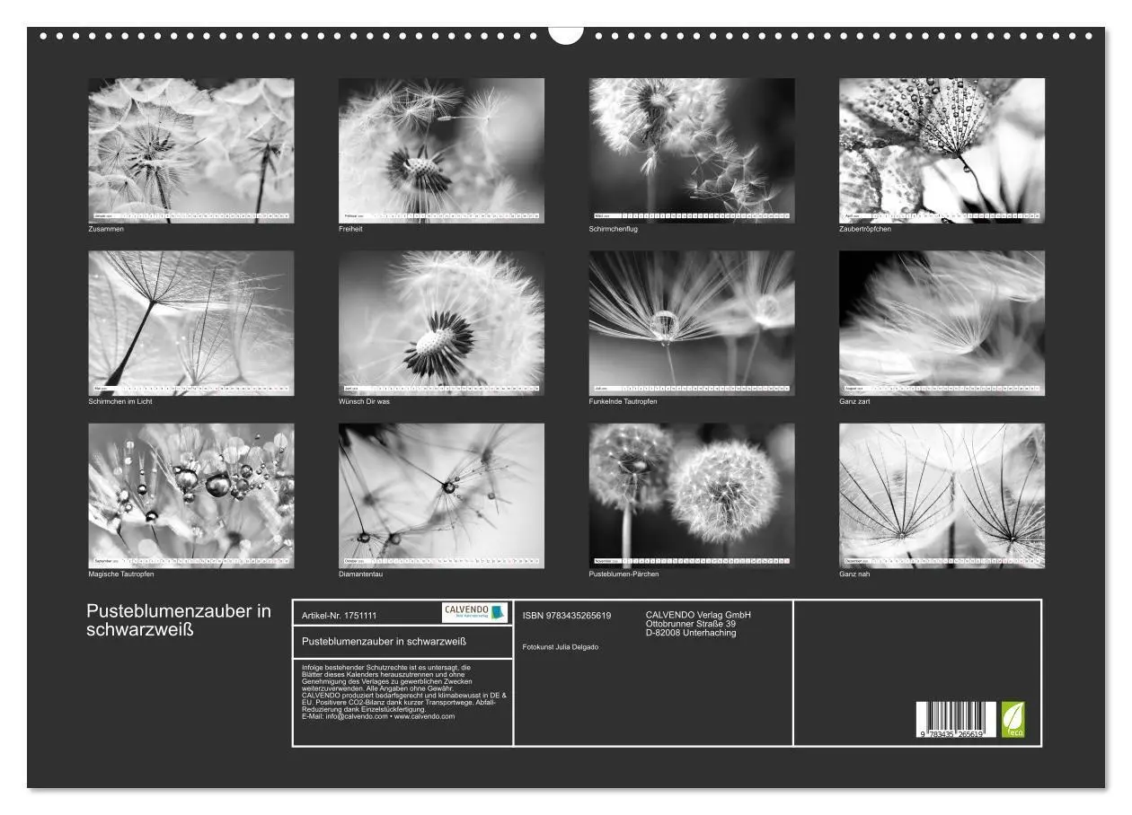 Bild: 9783435265619 | Pusteblumenzauber in schwarzweiß (Wandkalender 2025 DIN A2 quer),...