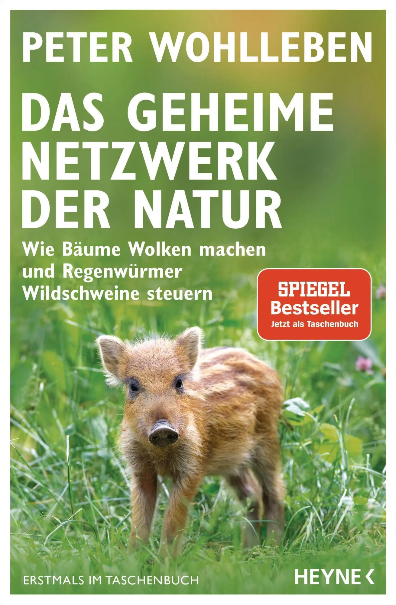 Cover: 9783453605619 | Das geheime Netzwerk der Natur | Peter Wohlleben | Taschenbuch | 2020 Cover: 9783453605619 | Das geheime Netzwerk der Natur | Peter Wohlleben | Taschenbuch | 2020