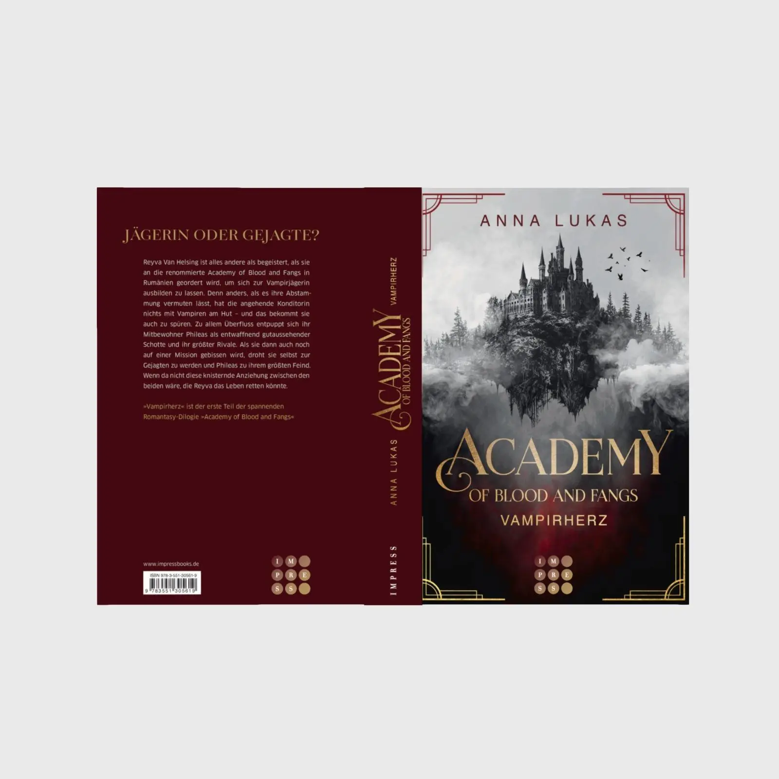 Bild: 9783551305619 | Academy of Blood and Fangs 1: Vampirherz | Anna Lukas | Taschenbuch