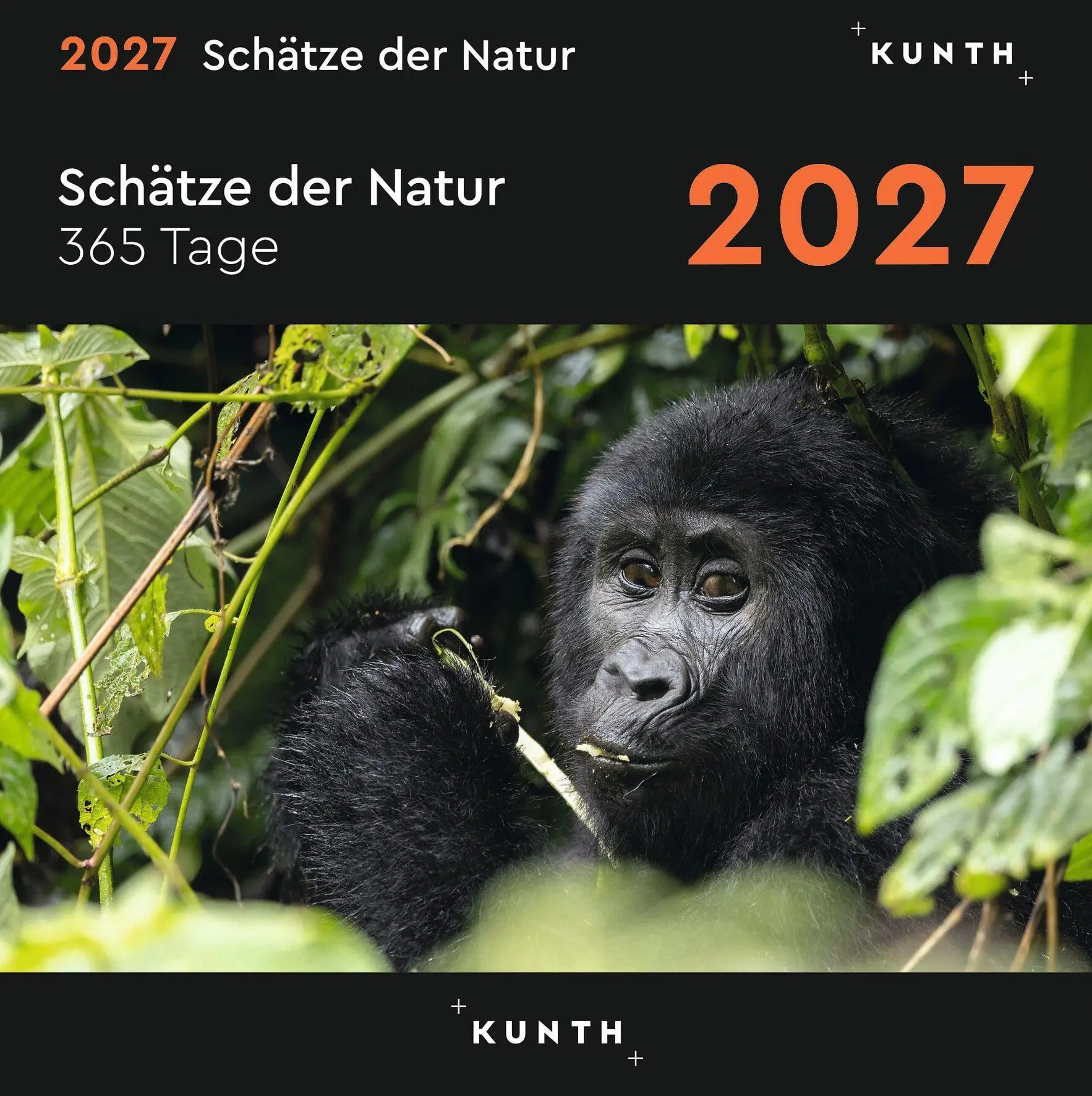 Cover: 9783965915619 | Schätze der Natur - KUNTH 365-Tage-Abreißkalender 2027 | Kalender