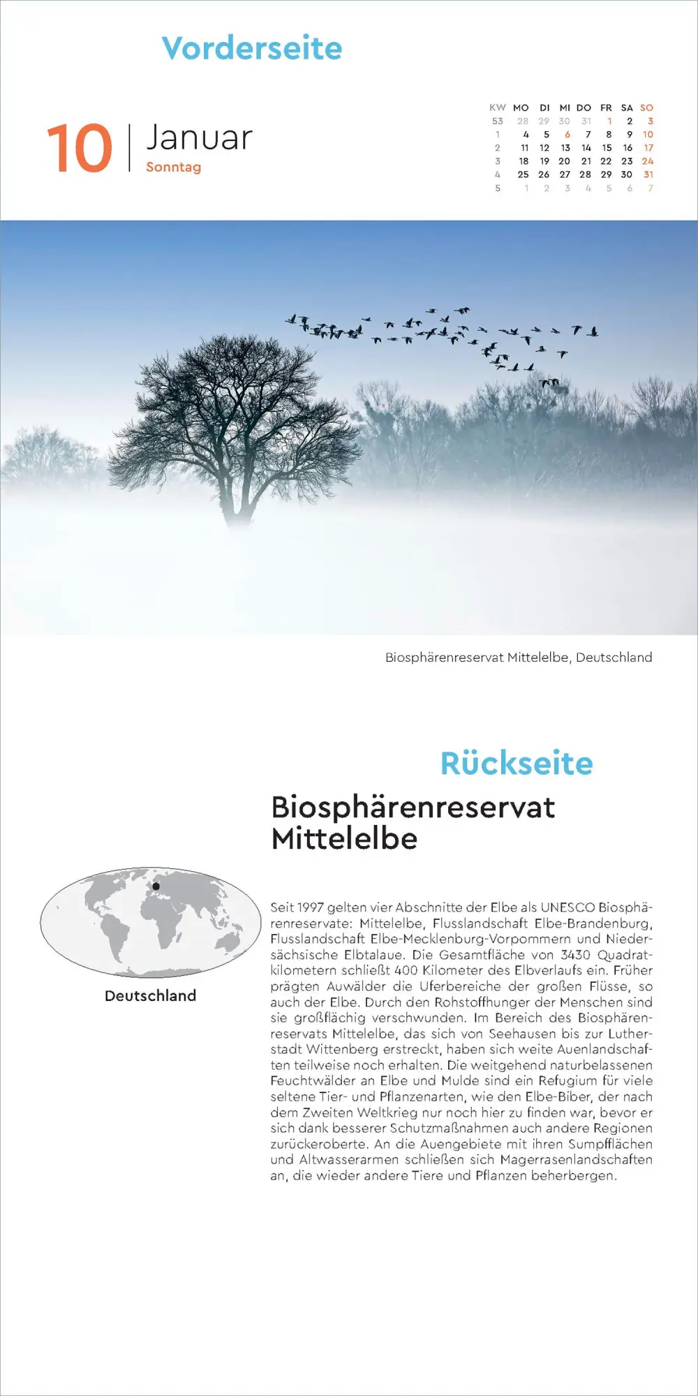 Bild: 9783965915619 | Schätze der Natur - KUNTH 365-Tage-Abreißkalender 2027 | Kalender