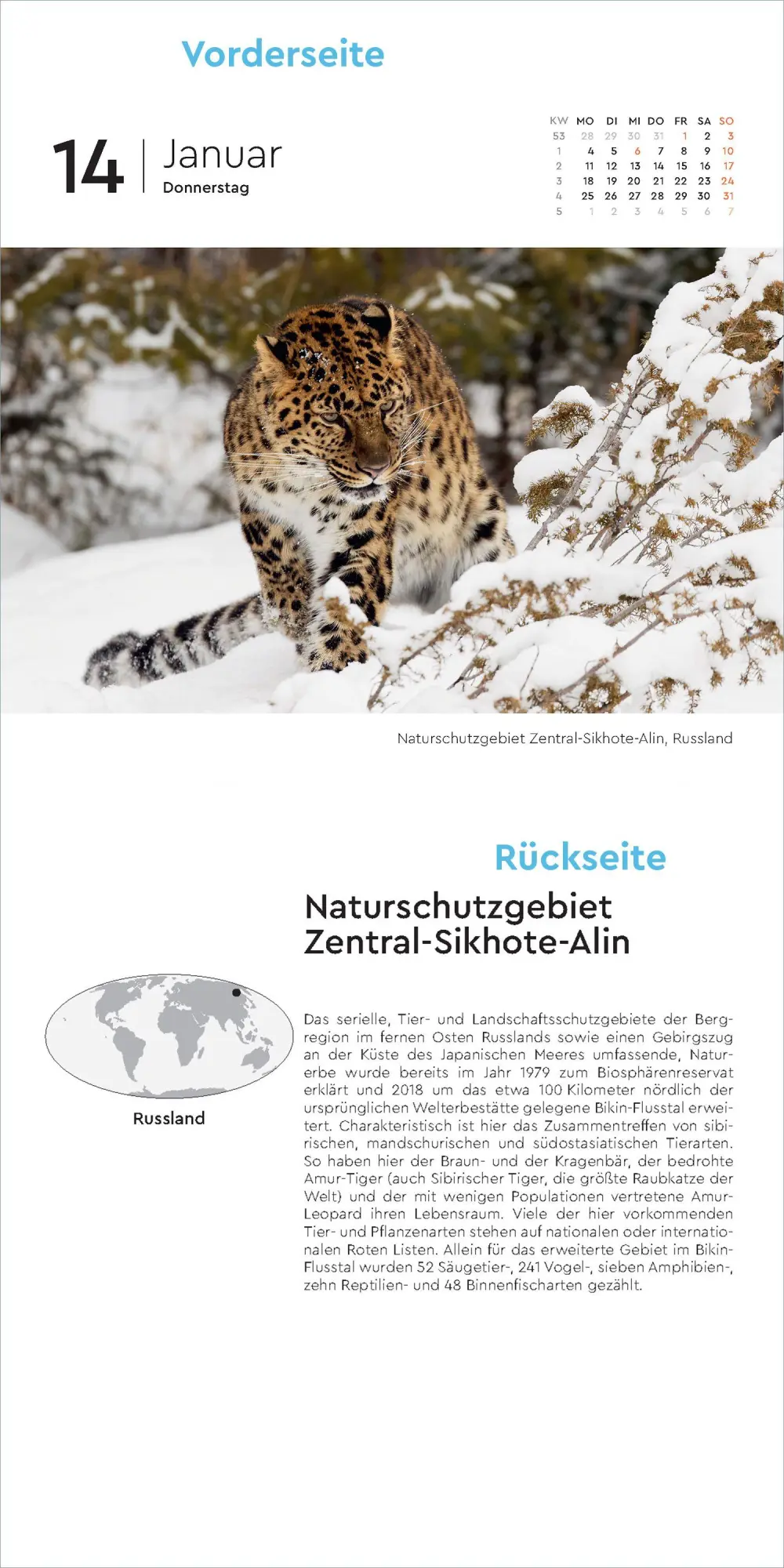 Bild: 9783965915619 | Schätze der Natur - KUNTH 365-Tage-Abreißkalender 2027 | Kalender