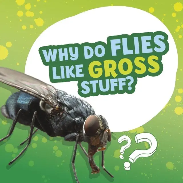 Cover: 9781398215719 | Why Do Flies Like Gross Stuff? | Ellen Labrecque | Taschenbuch | 2022