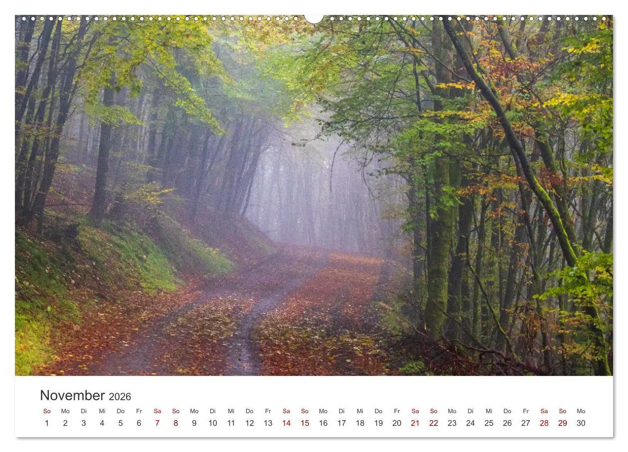 Bild: 9783457415719 | Das Sauerland im Wechsel der Jahreszeiten (hochwertiger Premium...