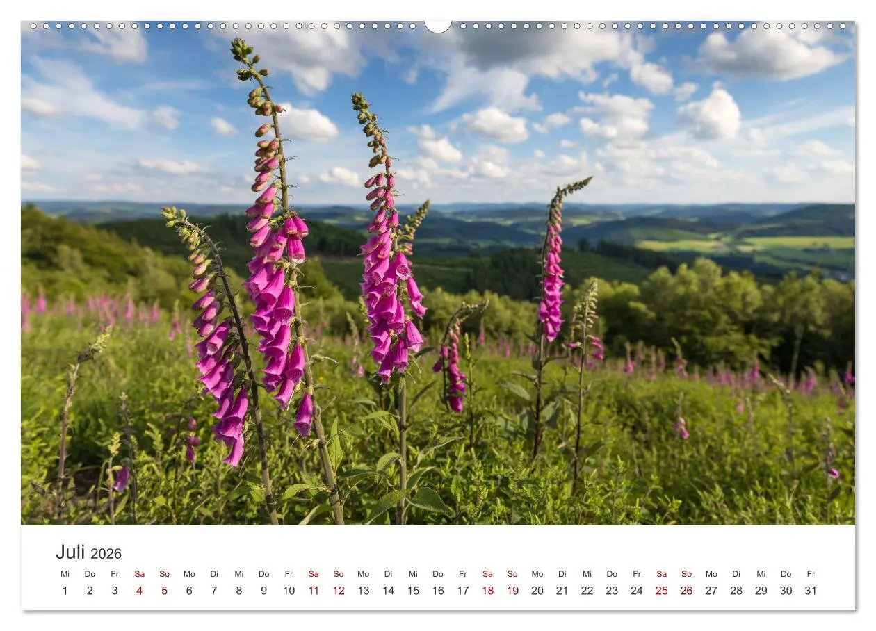 Bild: 9783457415719 | Das Sauerland im Wechsel der Jahreszeiten (hochwertiger Premium...