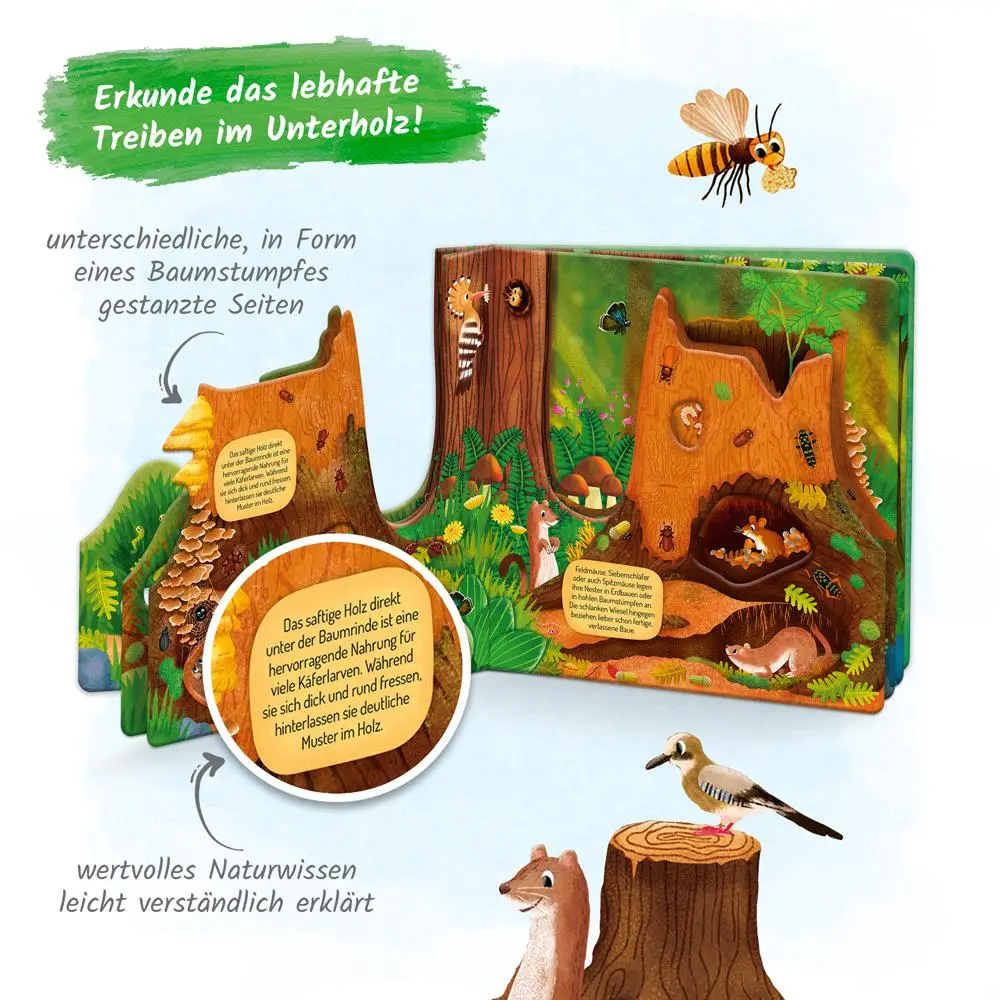 Bild: 9783965525719 | Trötsch Fensterbuch Im Baumstumpf | Trötsch Verlag GmbH &amp; Co. KG