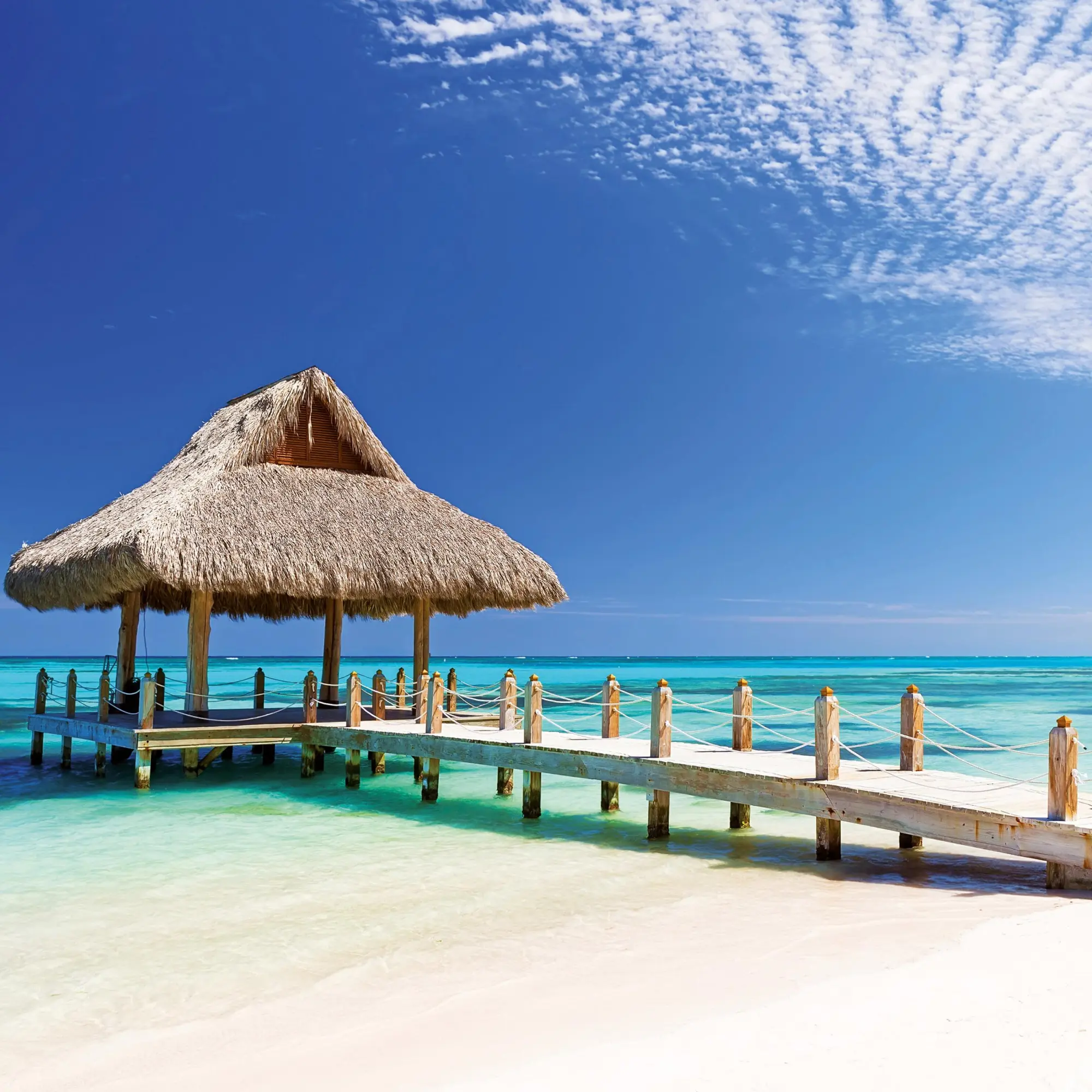 Bild: 9783959295819 | Trauminseln/Dream Islands 2026 | Kalender 2026 | Kalender | 28 S.