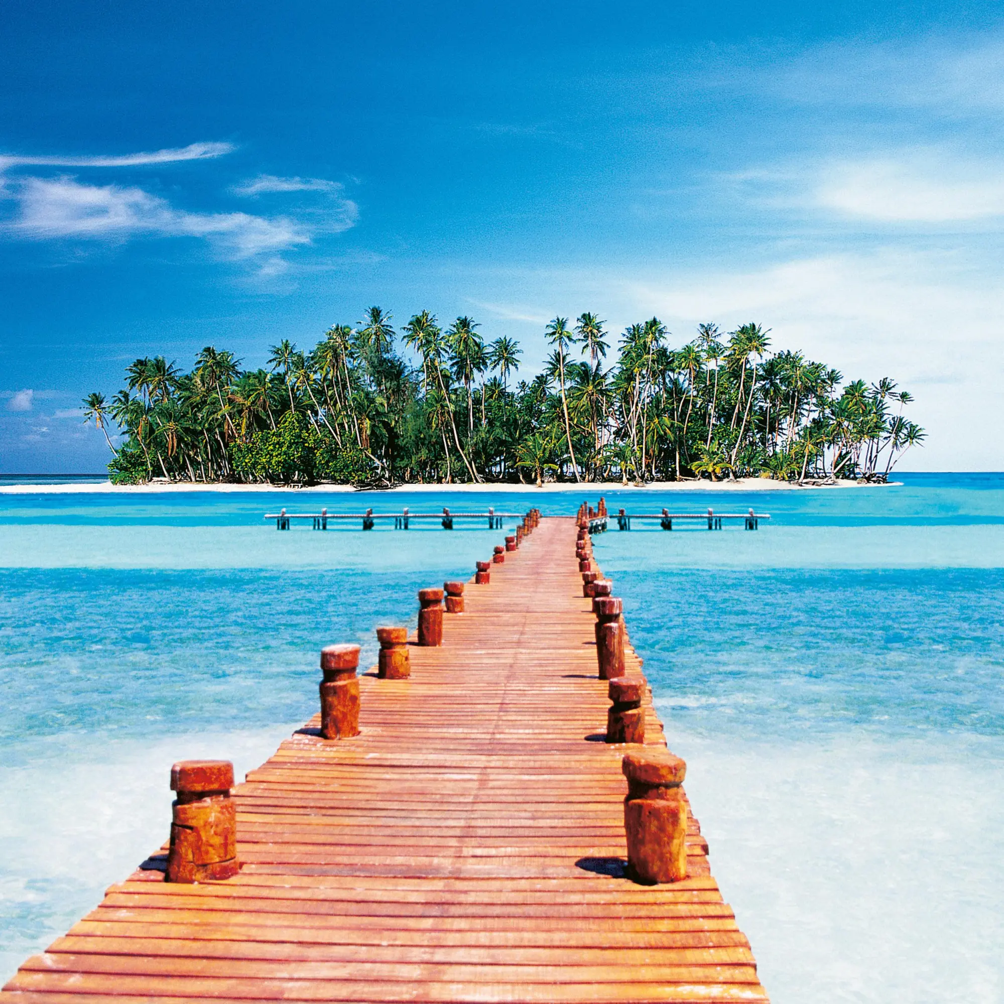 Bild: 9783959295819 | Trauminseln/Dream Islands 2026 | Kalender 2026 | Kalender | 28 S.