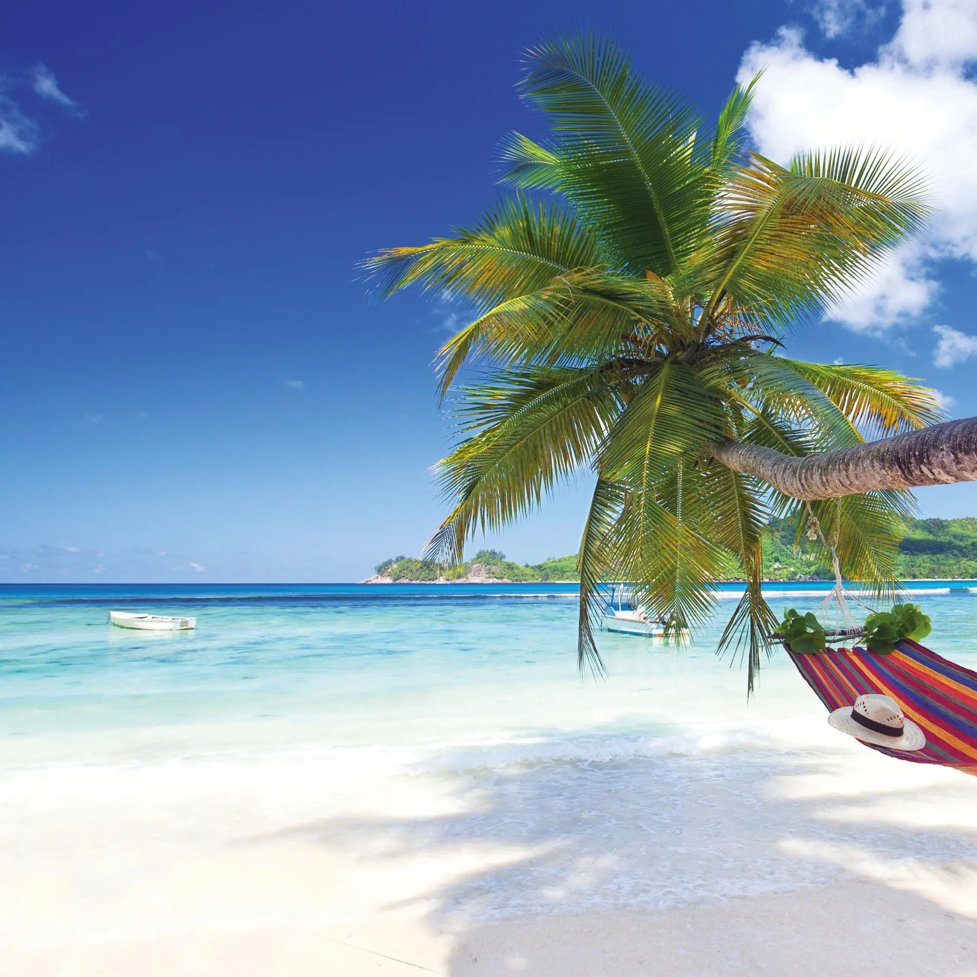 Bild: 9783959295819 | Trauminseln/Dream Islands 2026 | Kalender 2026 | Kalender | 28 S.