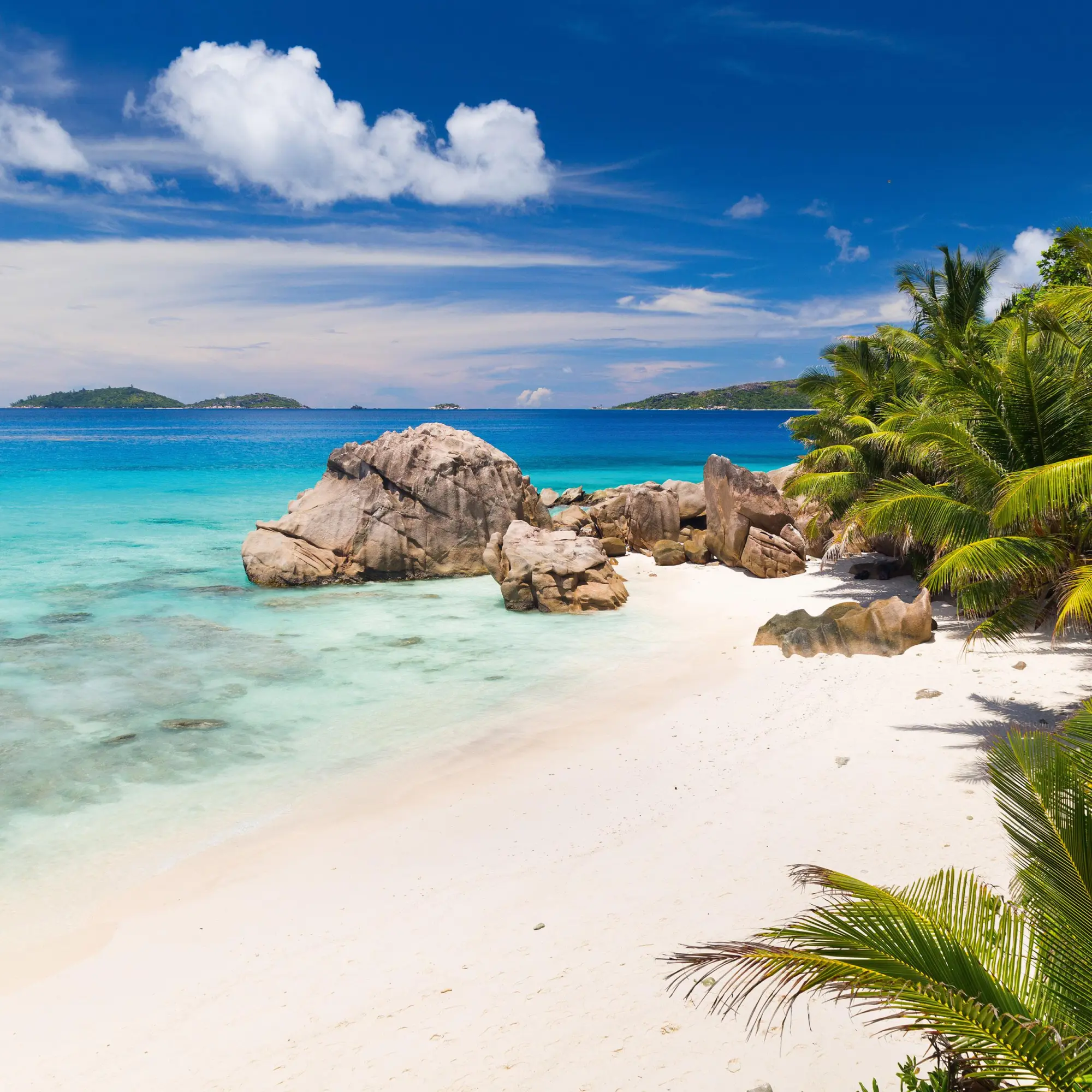 Bild: 9783959295819 | Trauminseln/Dream Islands 2026 | Kalender 2026 | Kalender | 28 S.