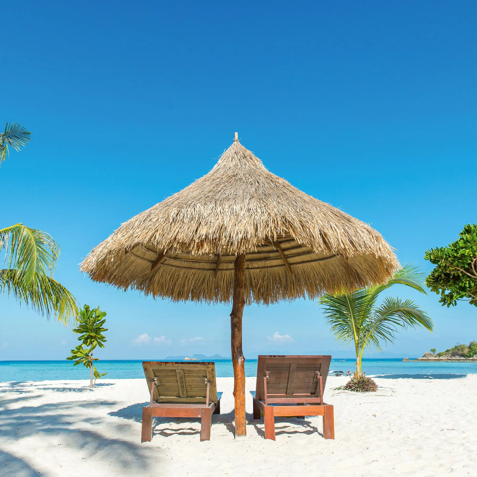 Bild: 9783959295819 | Trauminseln/Dream Islands 2026 | Kalender 2026 | Kalender | 28 S.