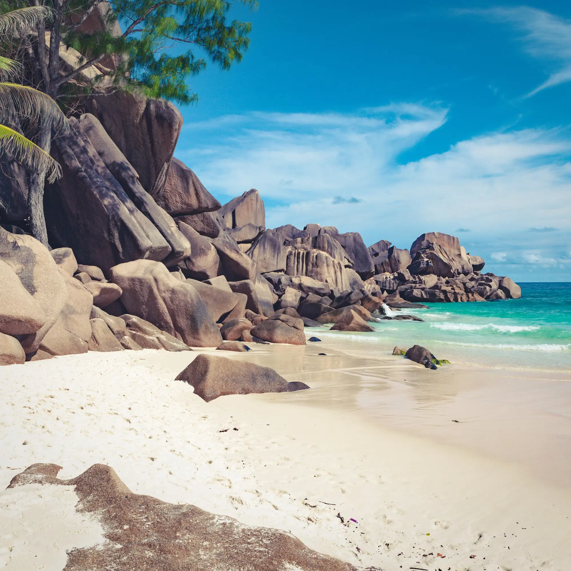 Bild: 9783959295819 | Trauminseln/Dream Islands 2026 | Kalender 2026 | Kalender | 28 S.