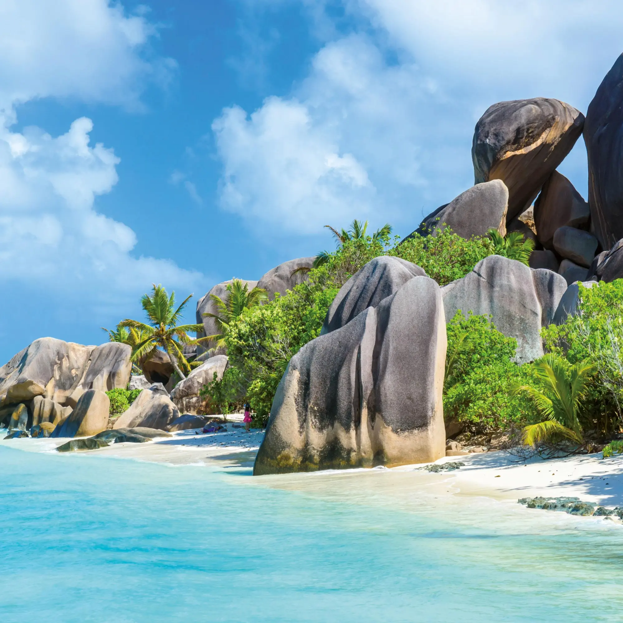 Bild: 9783959295819 | Trauminseln/Dream Islands 2026 | Kalender 2026 | Kalender | 28 S.
