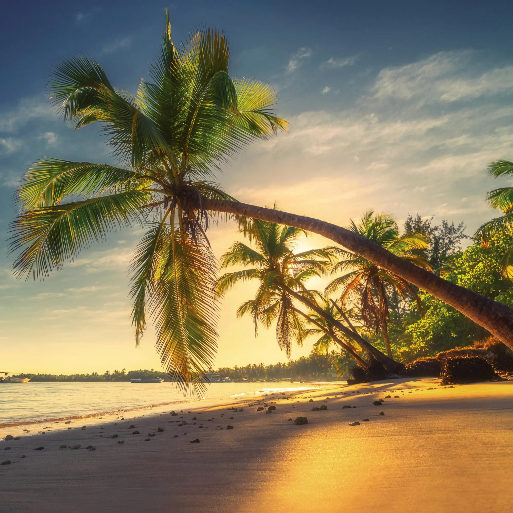Bild: 9783959295819 | Trauminseln/Dream Islands 2026 | Kalender 2026 | Kalender | 28 S.