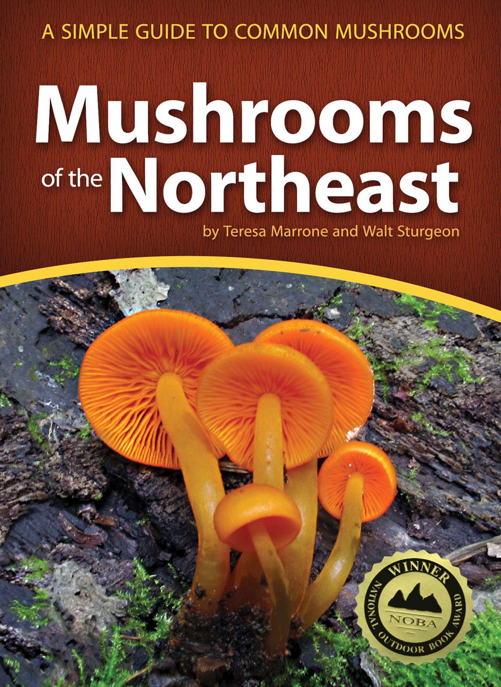 Mushrooms of the Northeast: A Simple Guide to Common Mushrooms | Teresa Marrone (u. a.) | Taschenbuch | Mushroom Guides | Englisch | 2016 | ADVENTURE PUBN | EAN 9781591935919 - Marrone, Teresa
