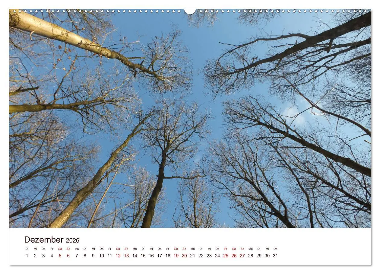 Bild: 9783457906019 | Bad Schwartau (Wandkalender 2026 DIN A2 quer), CALVENDO Monatskalender
