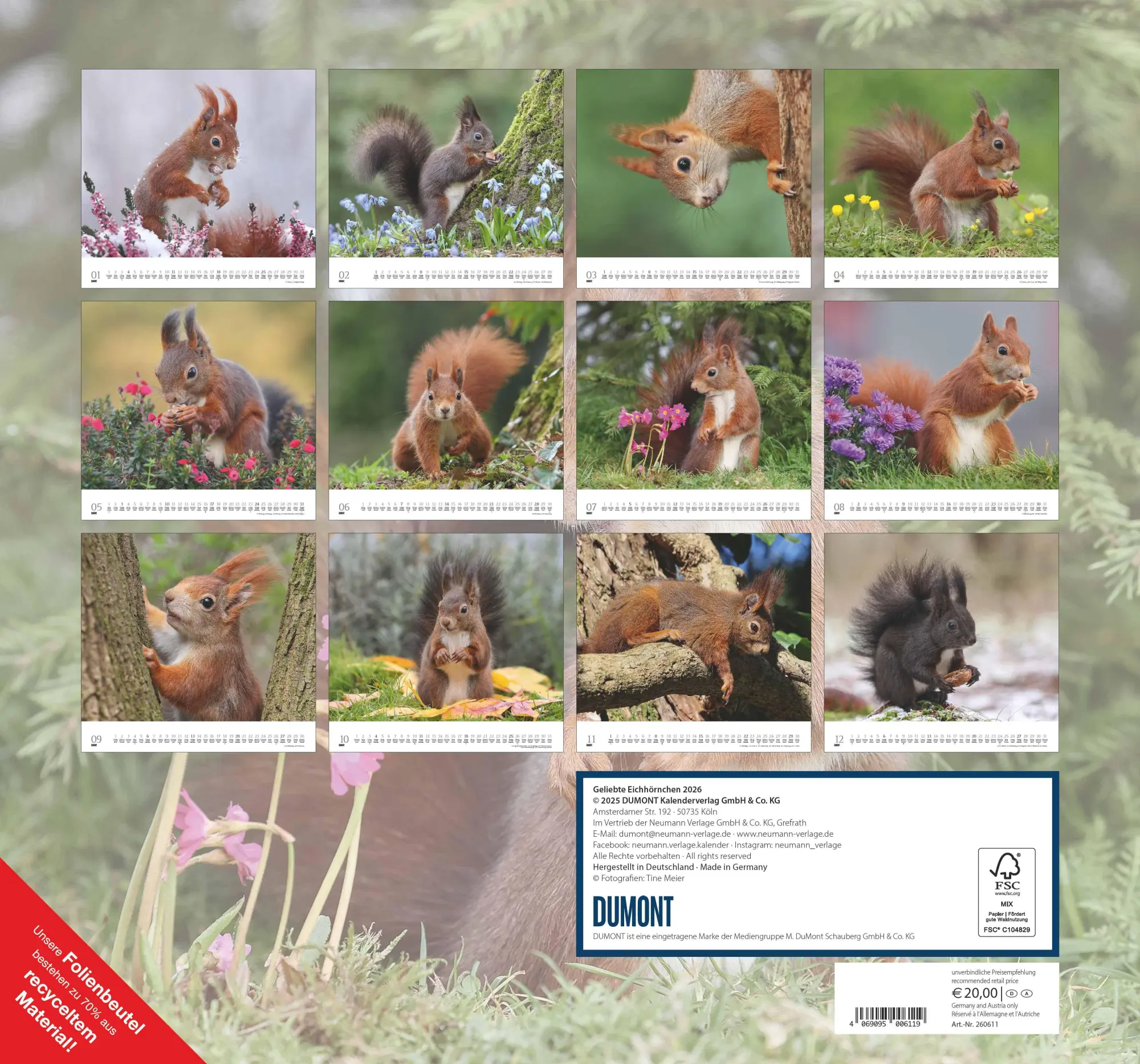 Rückseite: 4069095006119 | Geliebte Eichhörnchen 2026 - DUMONT Wandkalender - mit den...