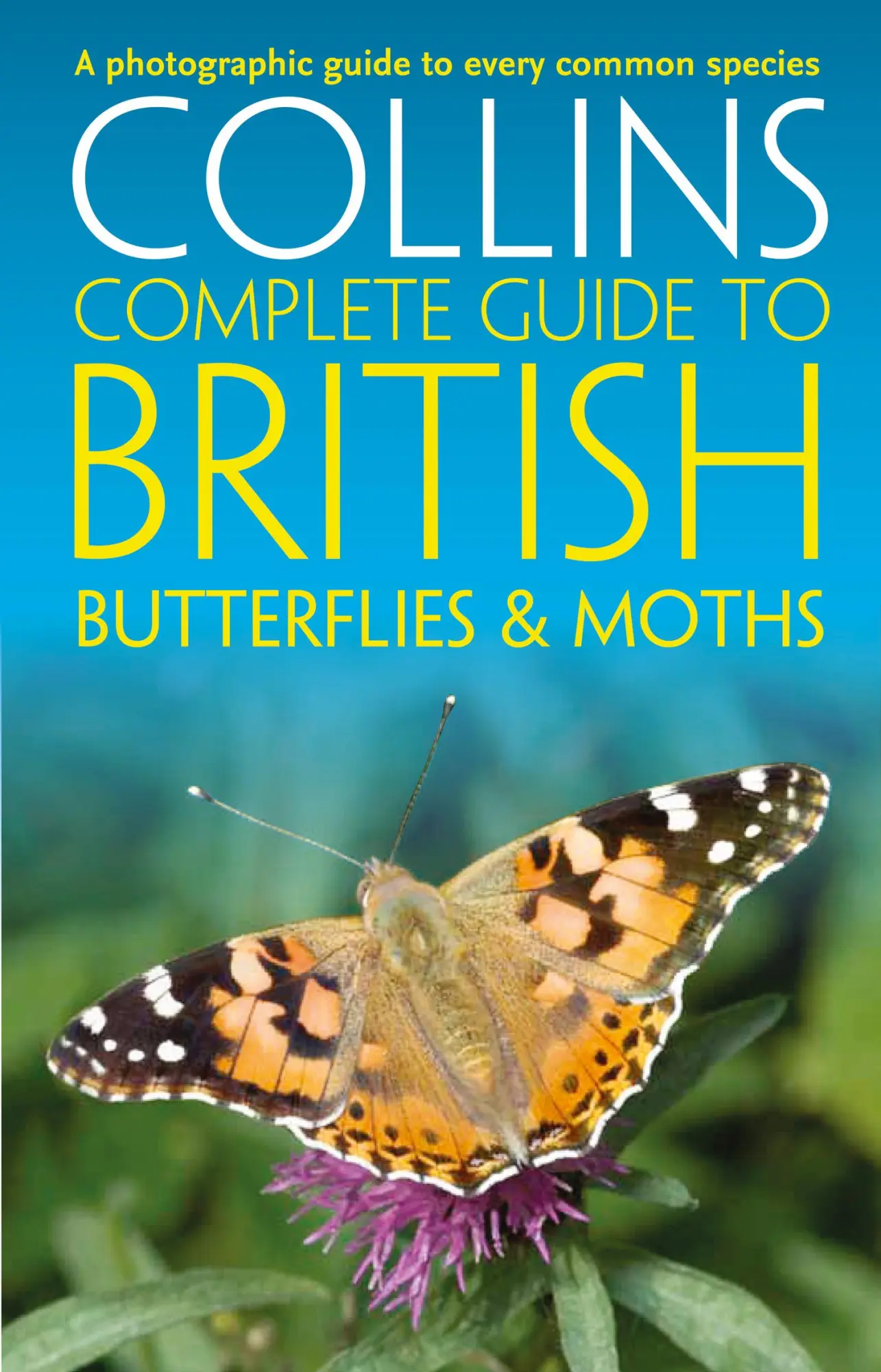 Cover: 9780008106119 | British Butterflies and Moths | Paul Sterry (u. a.) | Taschenbuch