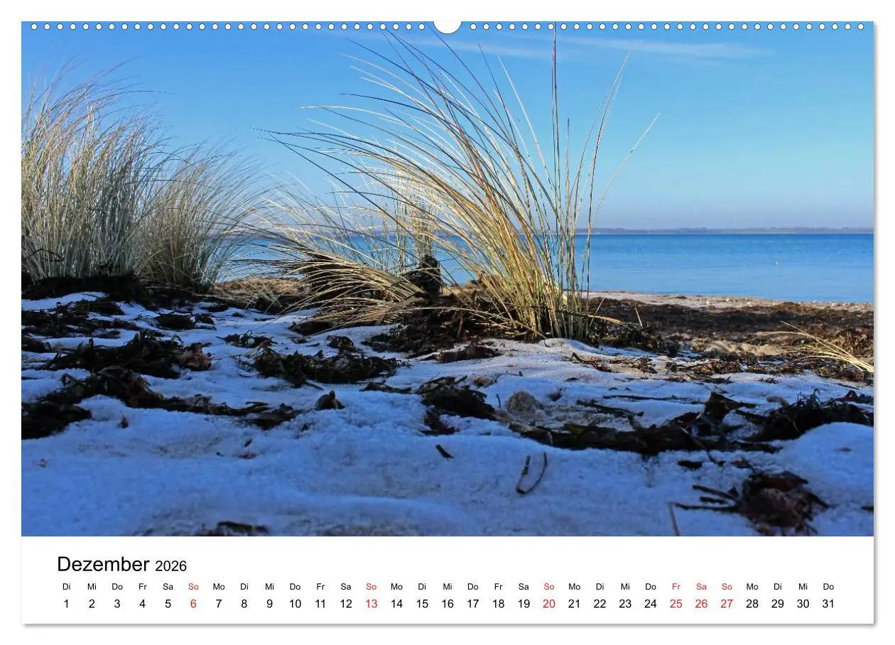 Bild: 9783516086119 | Ostseeküste 2026 (Wandkalender 2026 DIN A2 quer), CALVENDO...