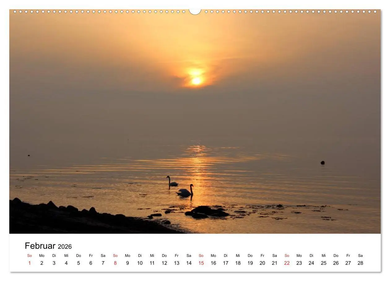 Bild: 9783516086119 | Ostseeküste 2026 (Wandkalender 2026 DIN A2 quer), CALVENDO...