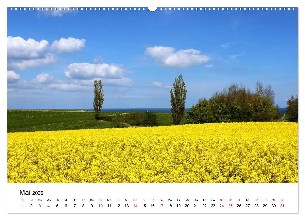Bild: 9783516086119 | Ostseeküste 2026 (Wandkalender 2026 DIN A2 quer), CALVENDO...