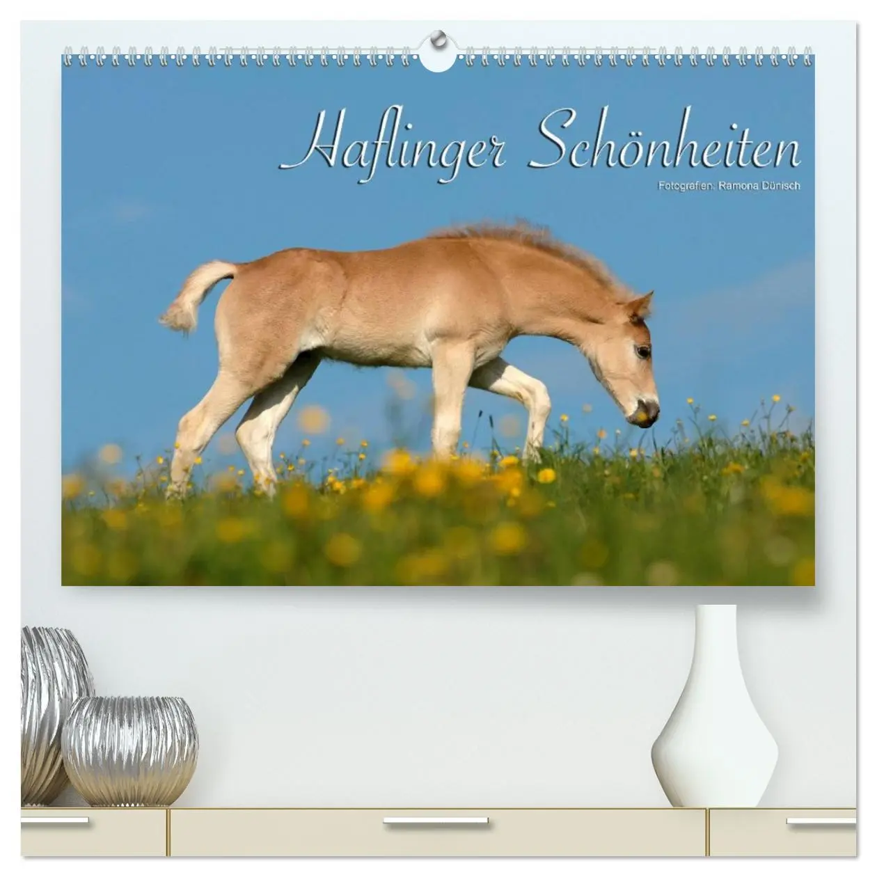 Cover: 9783516156119 | Haflinger Schönheiten (hochwertiger Premium Wandkalender 2026 DIN...