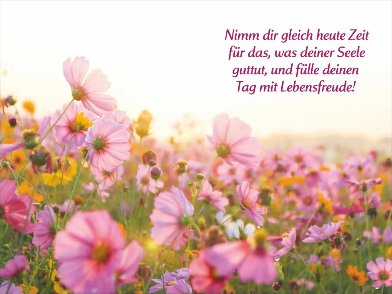 Bild: 9783840196119 | PAL - Der Lebensfreude Taschenkalender 2025 | Kalender | Kalender