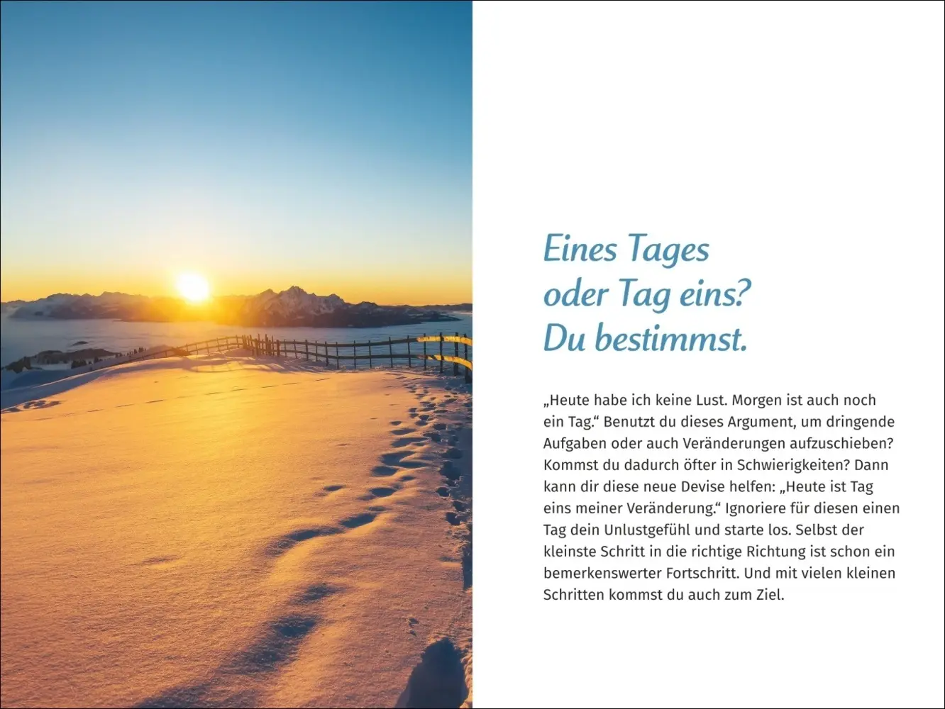 Bild: 9783840196119 | PAL - Der Lebensfreude Taschenkalender 2025 | Kalender | Kalender