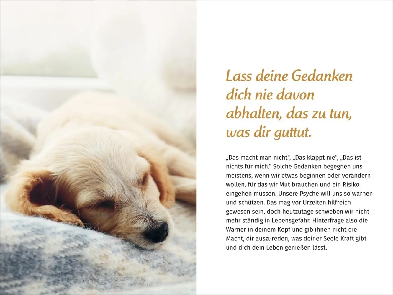 Bild: 9783840196119 | PAL - Der Lebensfreude Taschenkalender 2025 | Kalender | Kalender