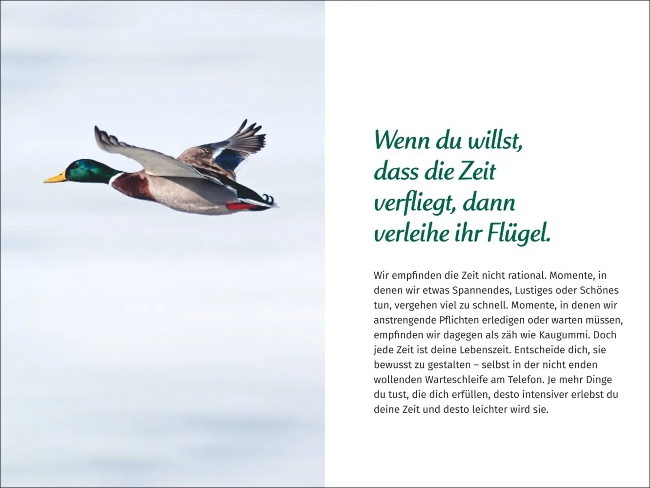 Bild: 9783840196119 | PAL - Der Lebensfreude Taschenkalender 2025 | Kalender | Kalender