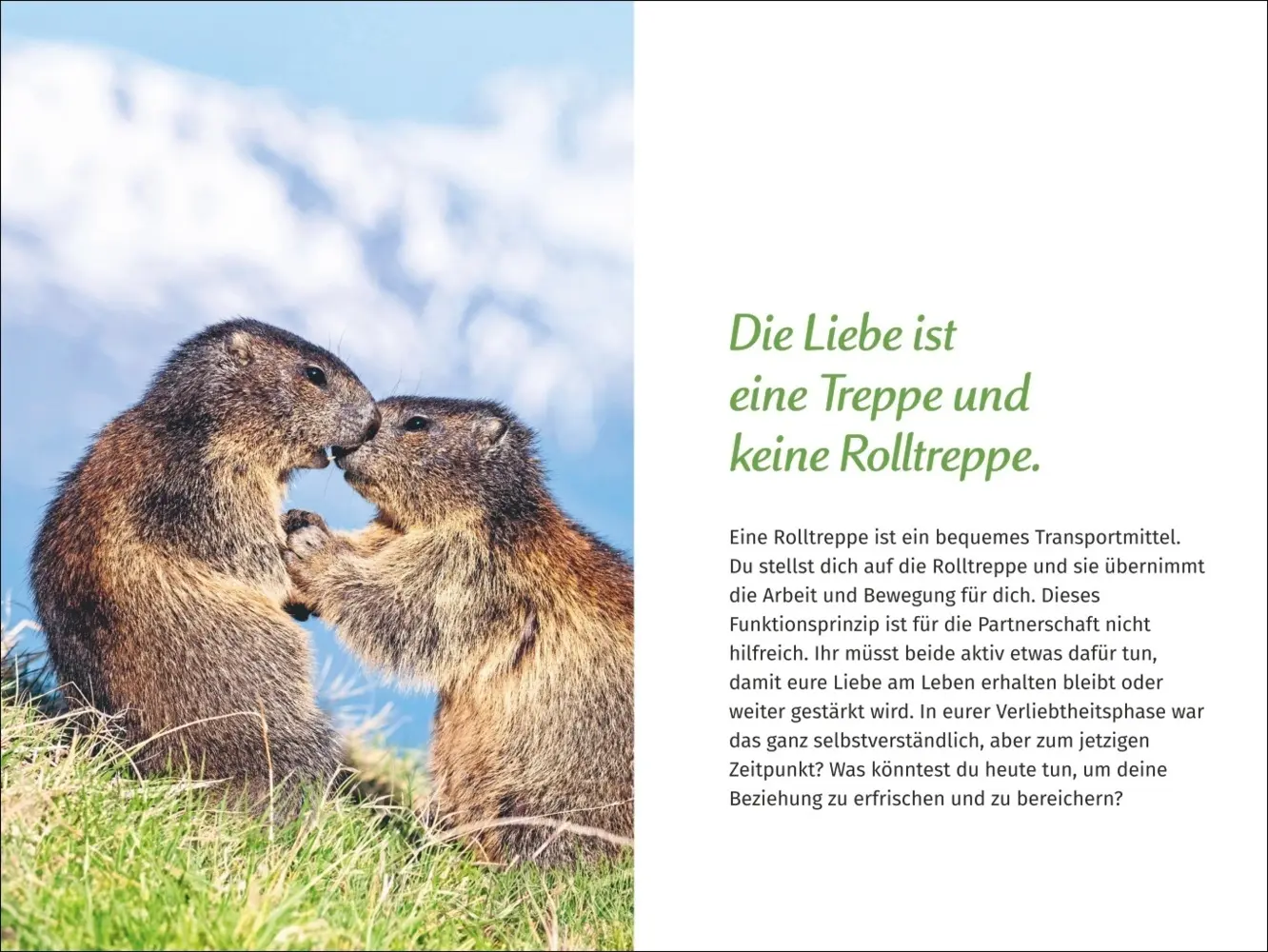 Bild: 9783840196119 | PAL - Der Lebensfreude Taschenkalender 2025 | Kalender | Kalender