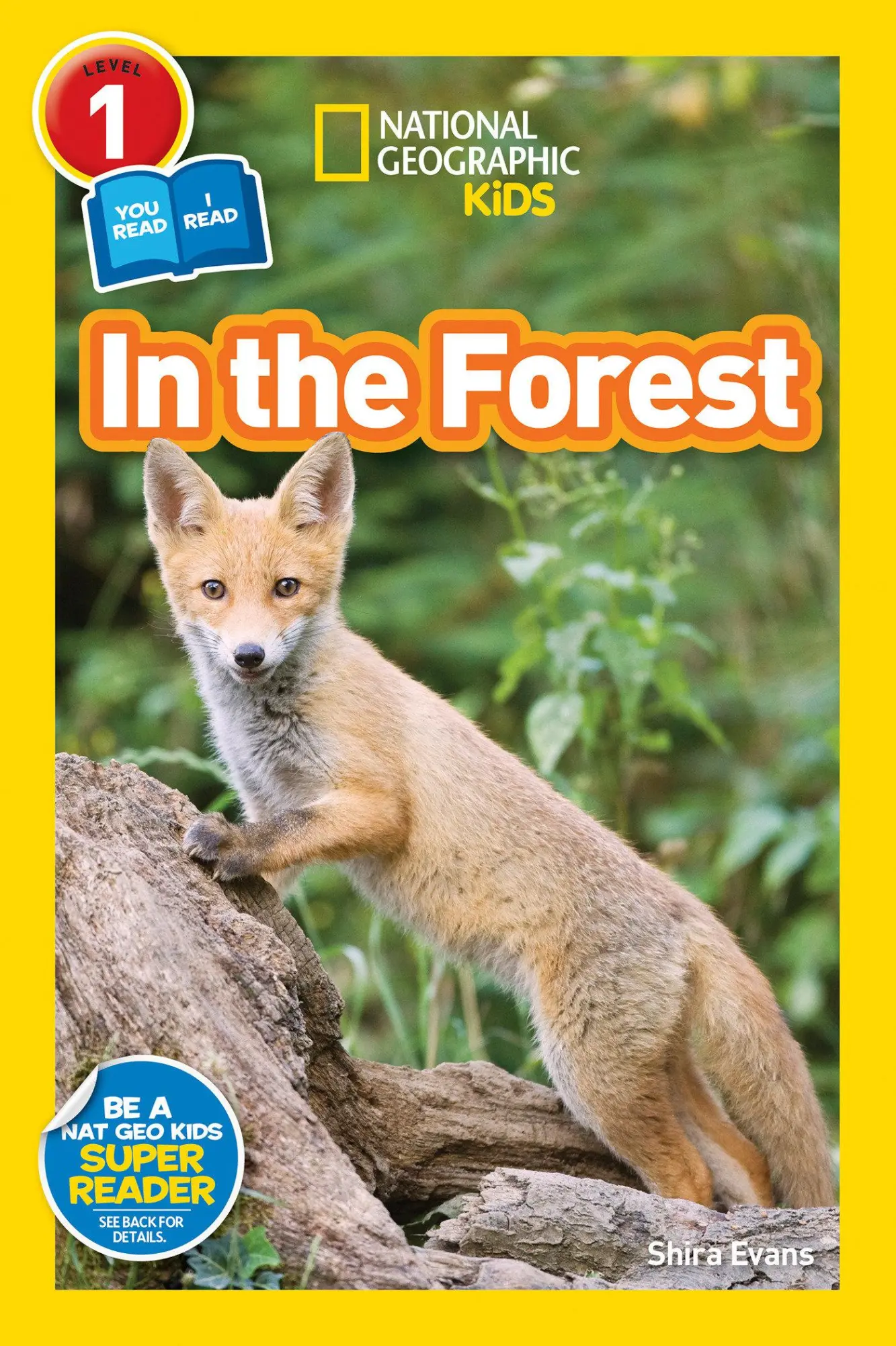 Cover: 9781426326219 | In the Forest (National Geographic Kids Readers, Level 1/Co-Reader)