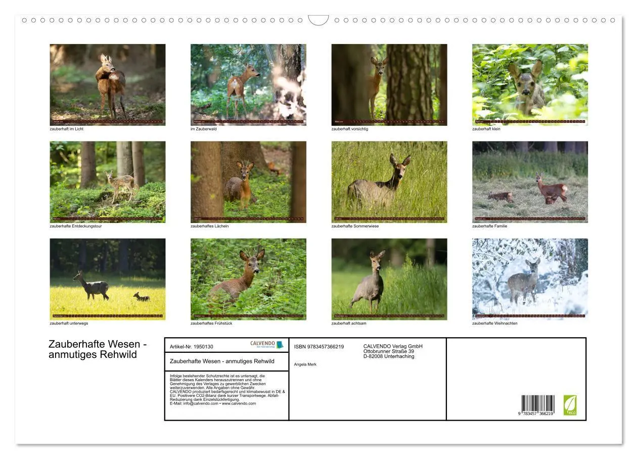 Bild: 9783457366219 | Zauberhafte Wesen - anmutiges Rehwild (Wandkalender 2026 DIN A2...